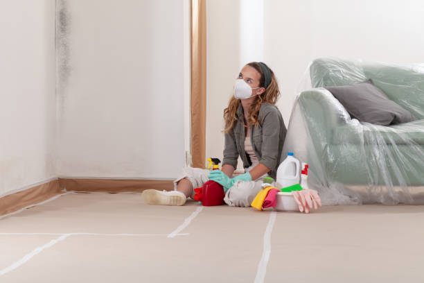 Reliable Mold Inspection contractor in Saint Inigoes, MD by WQB Mold Removal